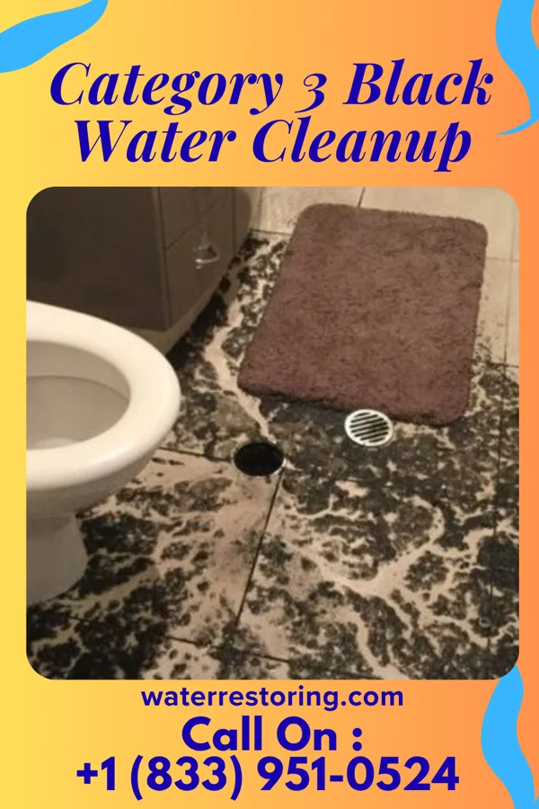 Category 3 Black Water Cleanup in Chancellor, SD