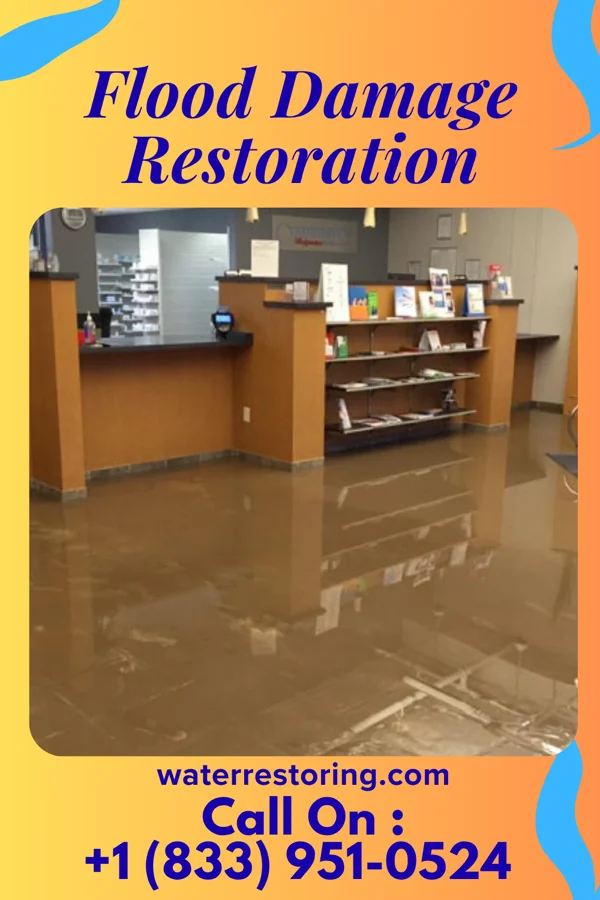 Flood Damage Restoration in Chancellor, SD