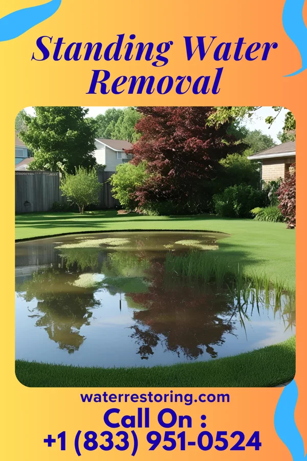 Standing Water Removal in Chancellor, SD